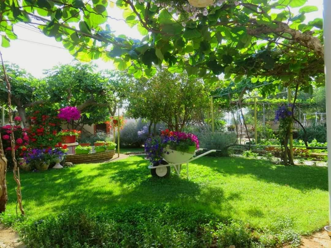 Beach Apartment Roza Biograd Oneroom - Premium Location Biograd Na Moru Exterior foto
