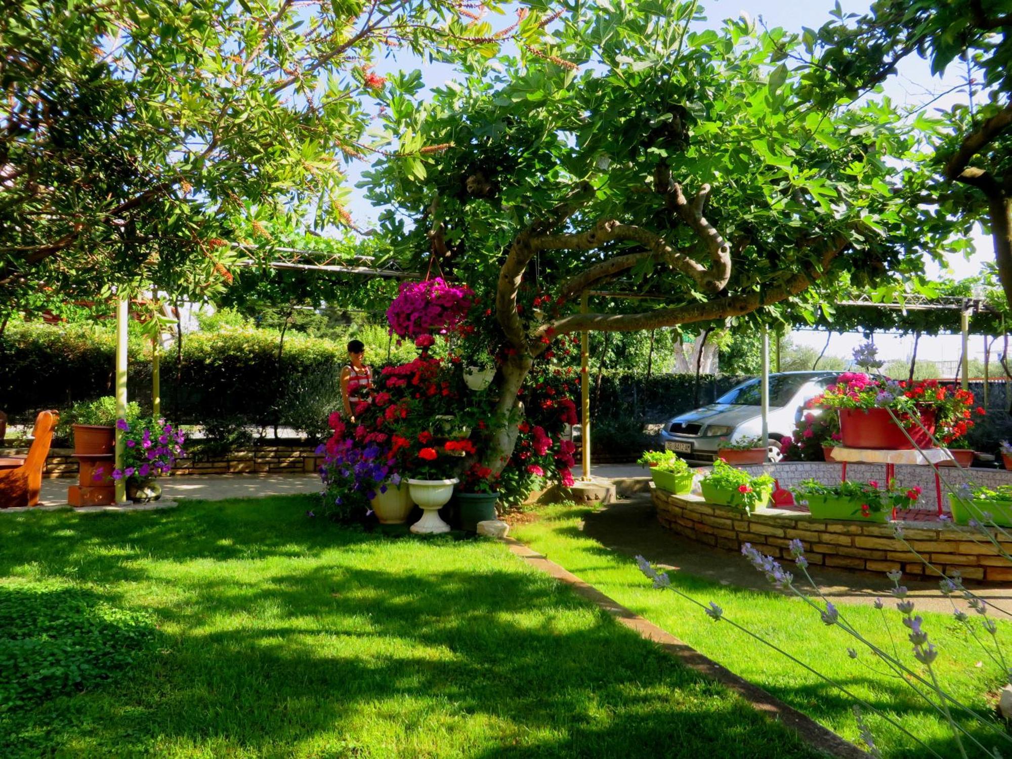 Beach Apartment Roza Biograd Oneroom - Premium Location Biograd Na Moru Exterior foto